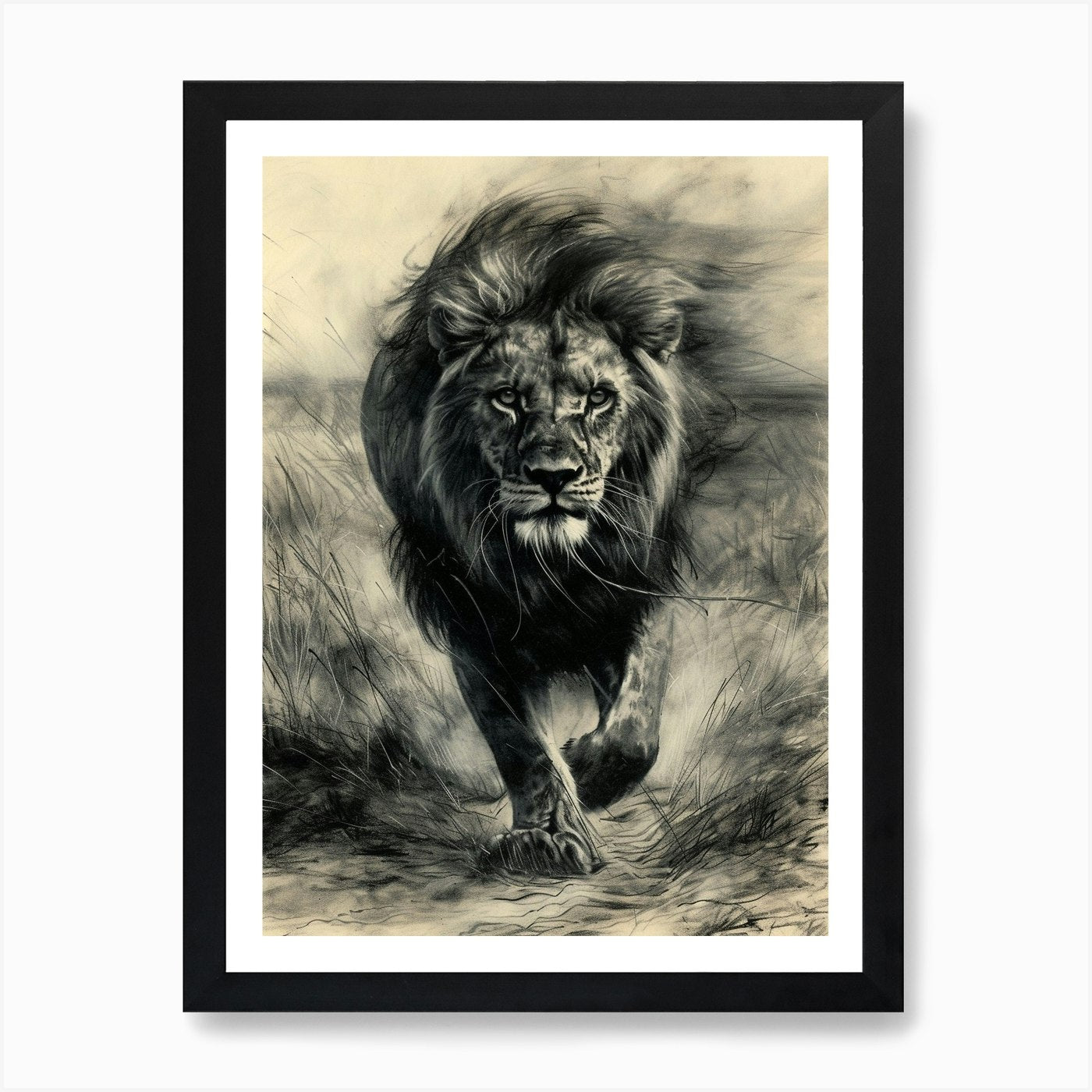 African Lion Charcoal Drawing Hunti Framed Wall Art Poster Canvas Print Picture