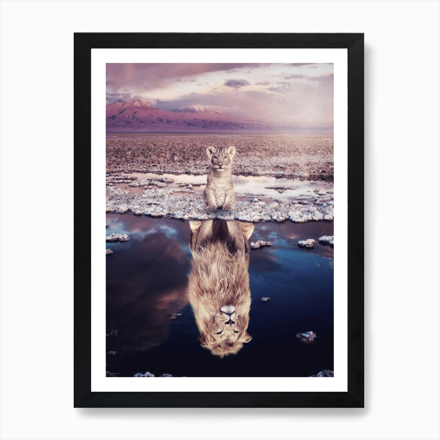 Baby Lion Will Grow Up In Savannah  Framed Wall Art Poster Canvas Print Picture