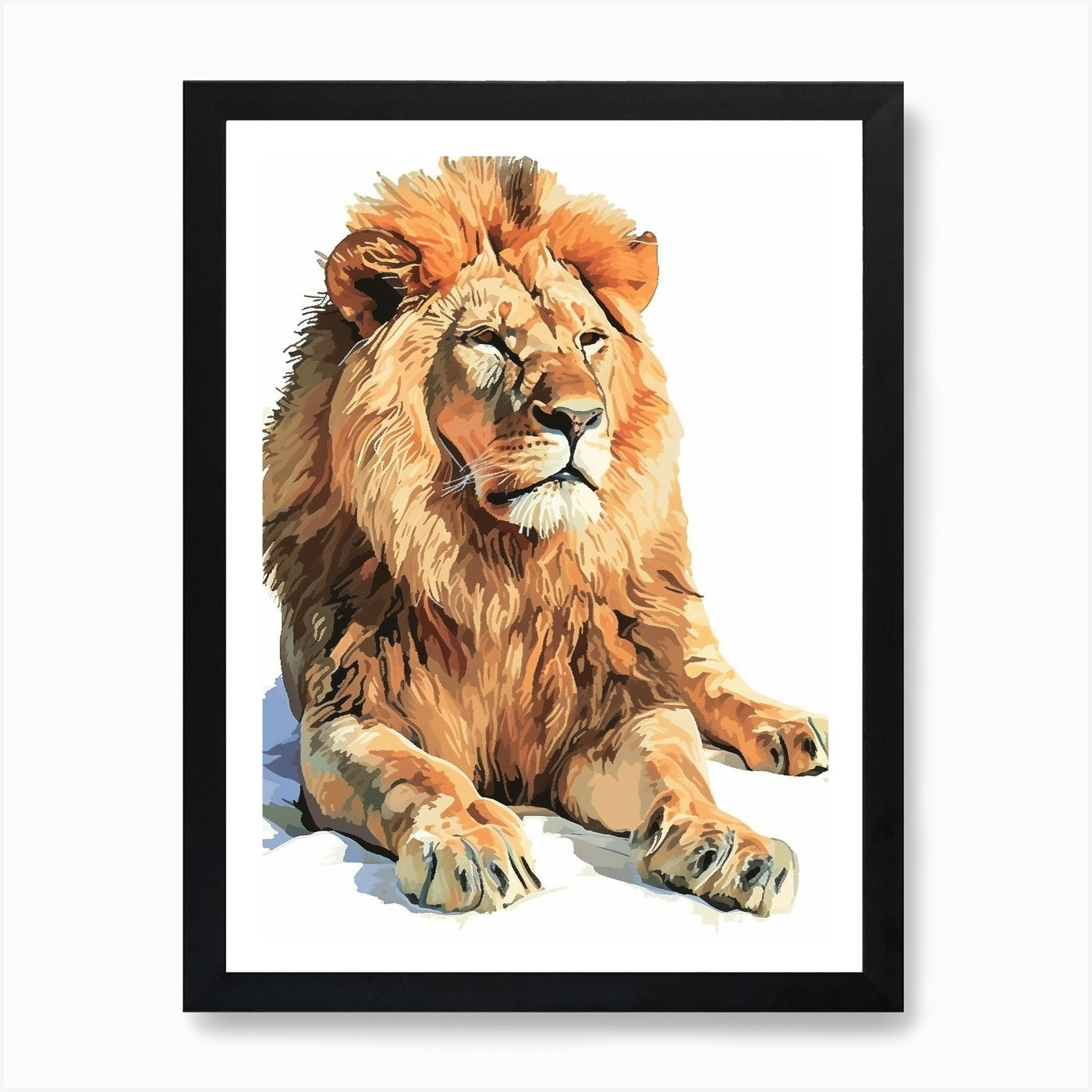 Barbary Lion Resting In The Sun Cli Framed Wall Art Poster Canvas Print Picture