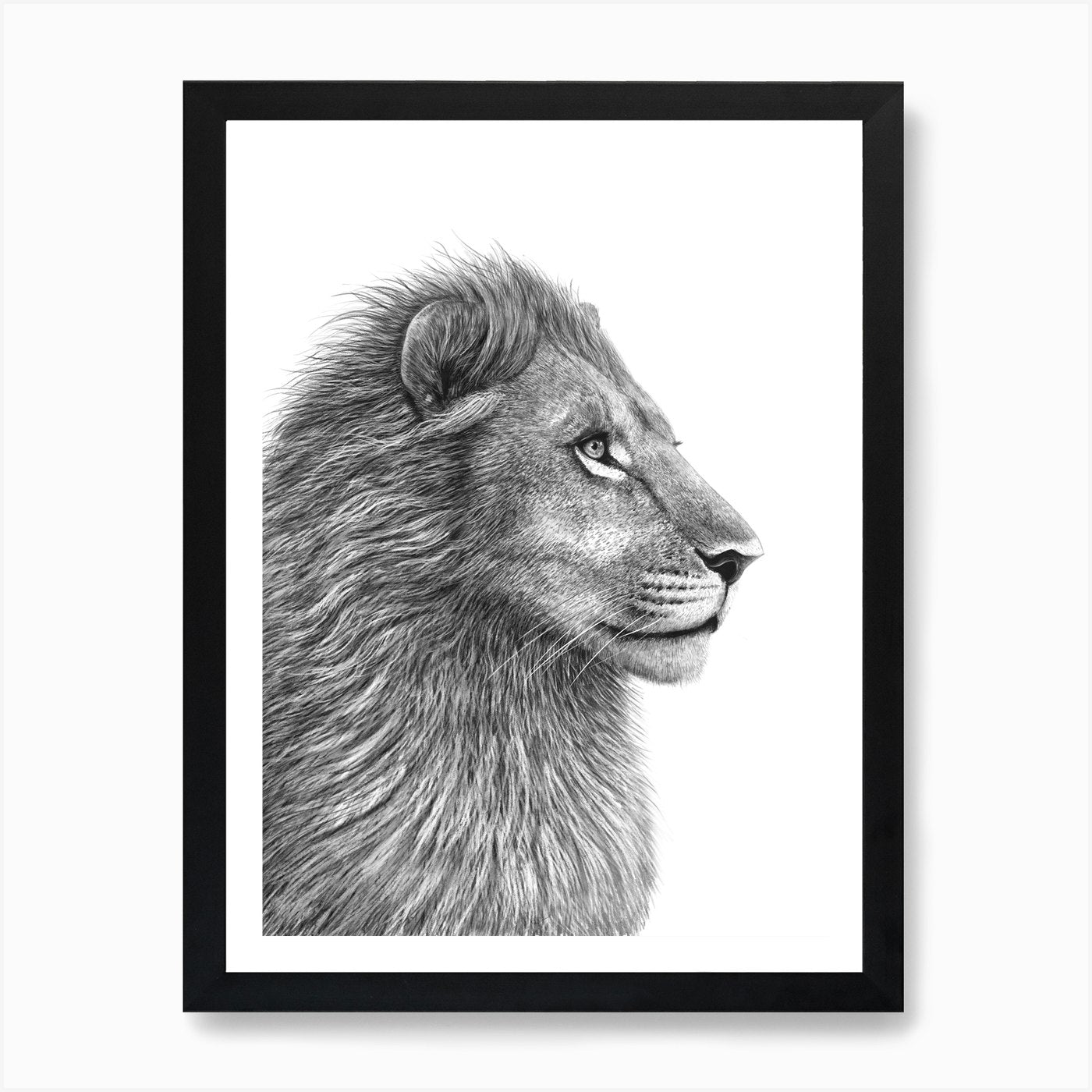 The Lion Art Print Framed Wall Art Poster Canvas Print Picture