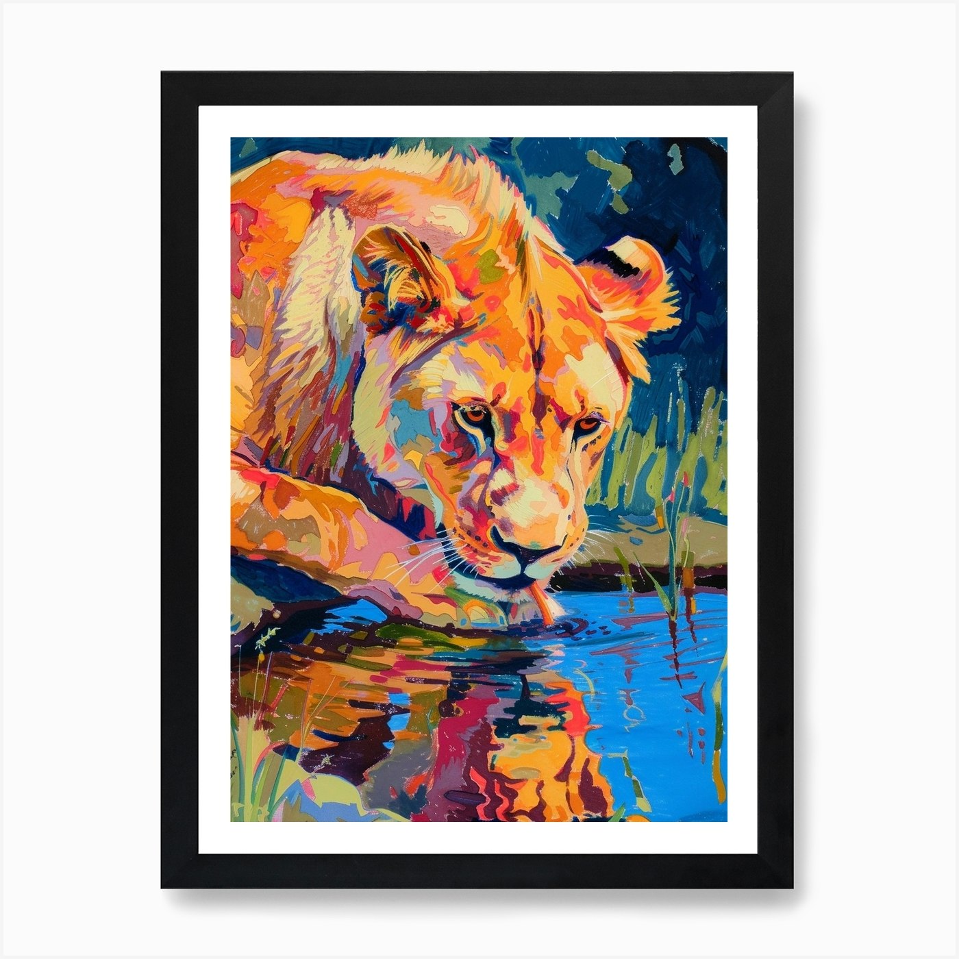 Southwest African Lion Drinking Fro Framed Wall Art Poster Canvas Print Picture