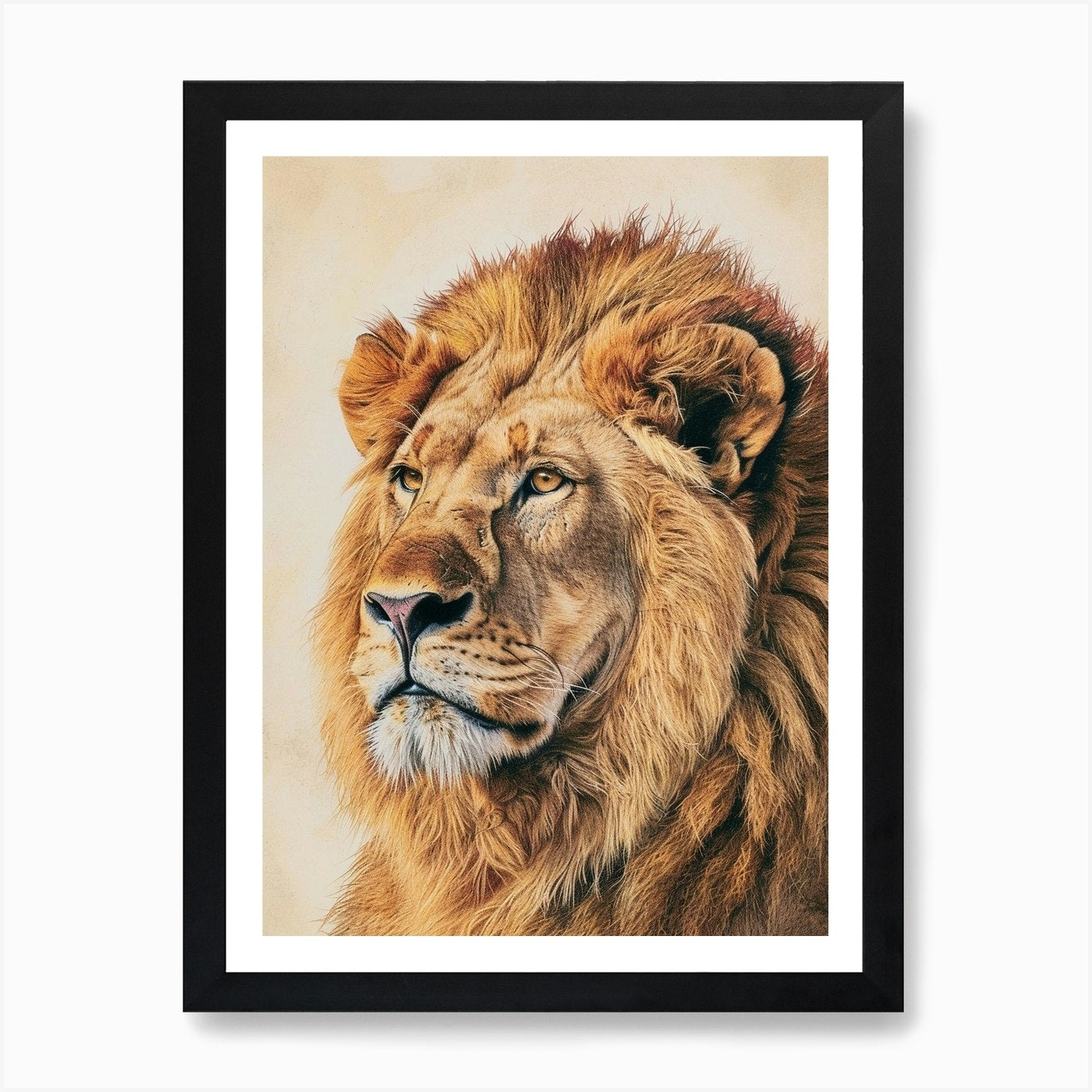 Barbary Lion Portrait Close Up Illu Framed Wall Art Poster Canvas Print Picture